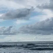 REO.