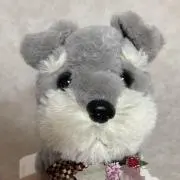 きょこきょこの画像