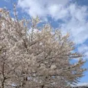ta-ko⭐︎即購入大歓迎です⭐︎の画像