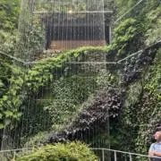 はまさやの画像