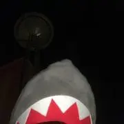 けんけん