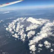 モアナ31の画像