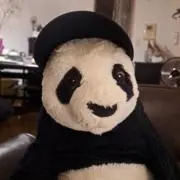 くーまーちゃんの画像