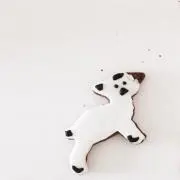 guimauveの画像