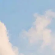 mugiの画像