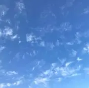 トシの画像