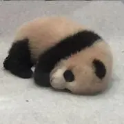 ユウの画像