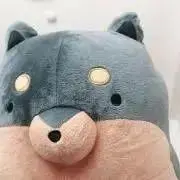 ねぎの画像