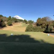 たまねぎの画像