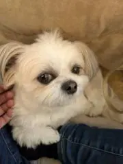 ikkeiの画像