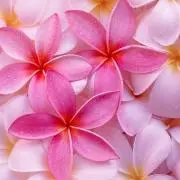 Mi＿Mi ♡おまとめ割しますの画像