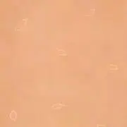 あやかの画像