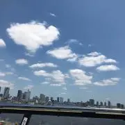しょこらの画像
