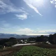 ののんの画像