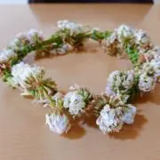 まー