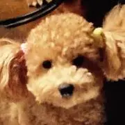 ママの画像