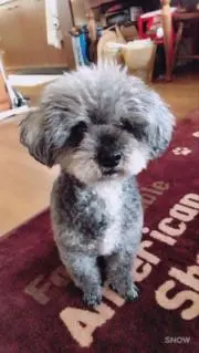 いっちゃんの画像