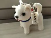 ゆ茶の画像