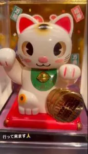ねねこの画像