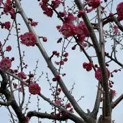 いい塩梅