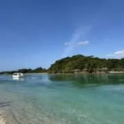 なつの画像