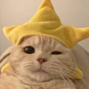 aの画像