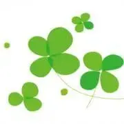 happyclover