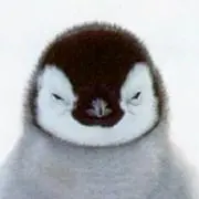 Saya