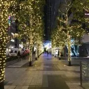 ロティ