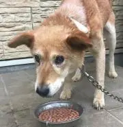 ふうこの画像