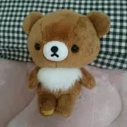 **kogumayu**の画像