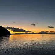 抹茶の画像