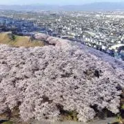 pmhmの画像