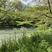 P House*の画像