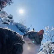 yukky_プロフ確認必須