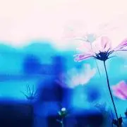 きんた