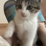 みいの画像