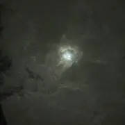 とんとん