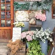 momokaの画像