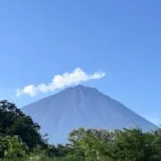 HARIBOの画像