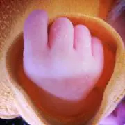 ぽん