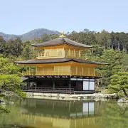 Kojiの画像