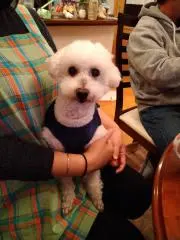 chapeko