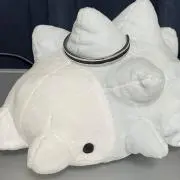ブロッコリー