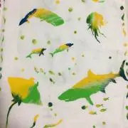 あいがも