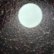 USJCの画像
