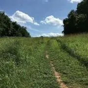 ちーの画像