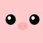 ナノケア