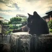 M78：プロフ必読の画像
