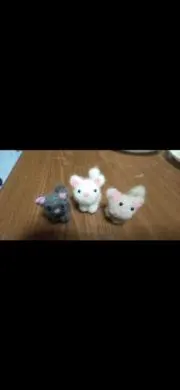タクの画像